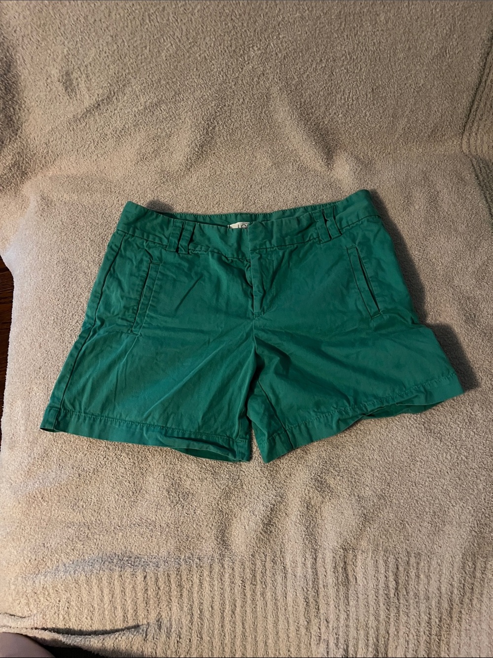 LOFT -Green Casual Shorts
